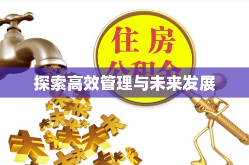 彭山探索高效管理与未来发展