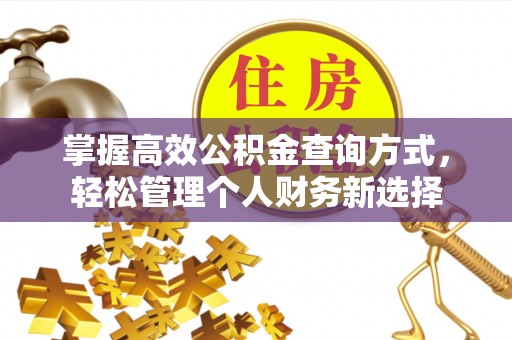 彭山掌握高效公积金查询方式，轻松管理个人财务新选择