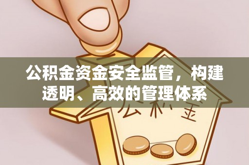 彭山公积金资金安全监管，构建透明、高效的管理体系