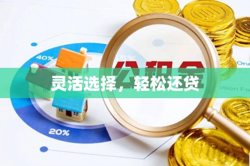 彭山灵活选择，轻松还贷