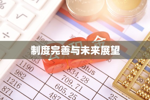 彭山制度完善与未来展望