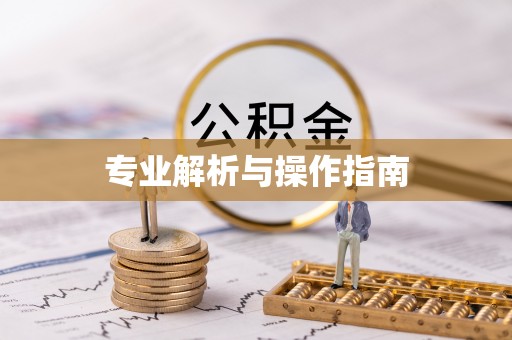 彭山专业解析与操作指南