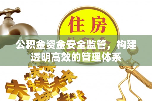 彭山公积金资金安全监管，构建透明高效的管理体系