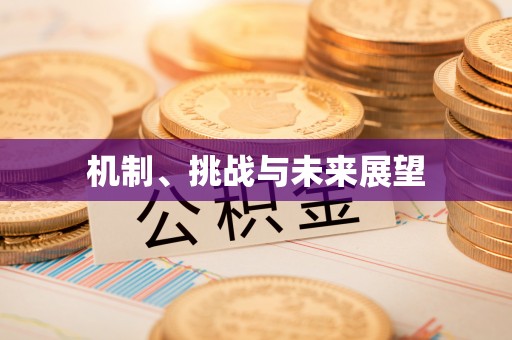彭山机制、挑战与未来展望