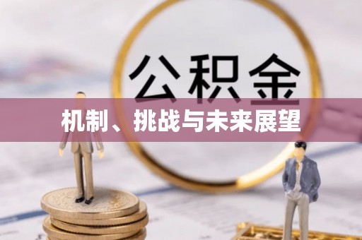 彭山机制、挑战与未来展望